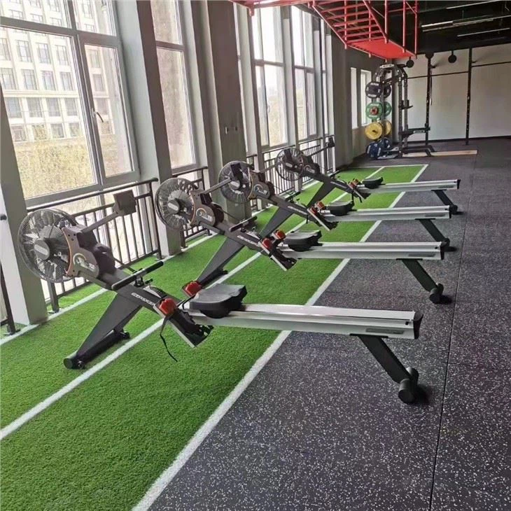 Sport Turf Grass Carpet