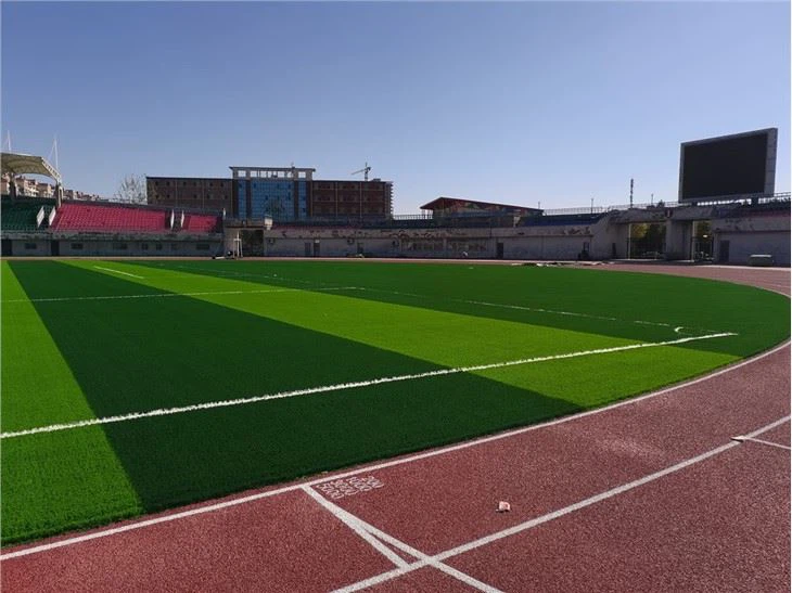 footballgrass05_