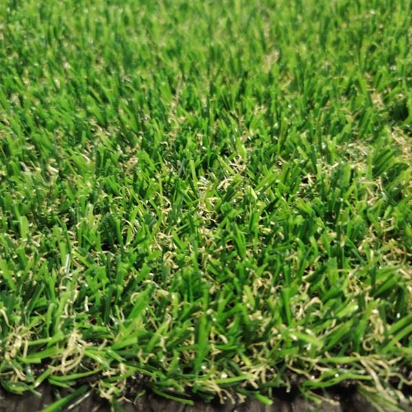 short grass turf